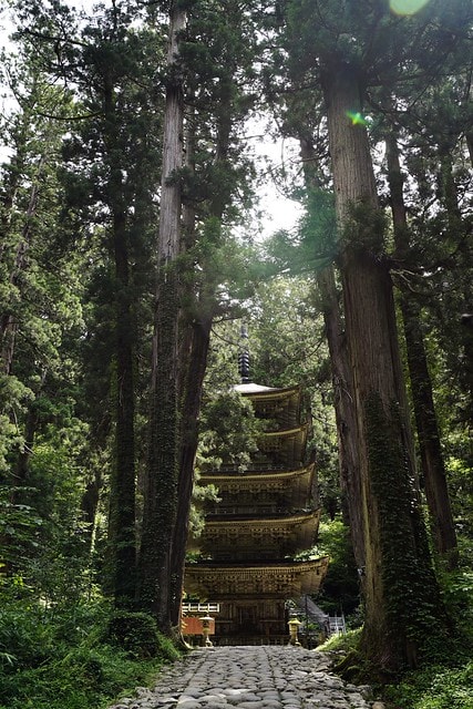 20251102-9l5p8 20251102-9l5p8