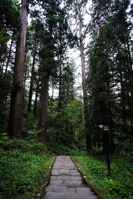 20251102-acwdl 20251102-acwdl