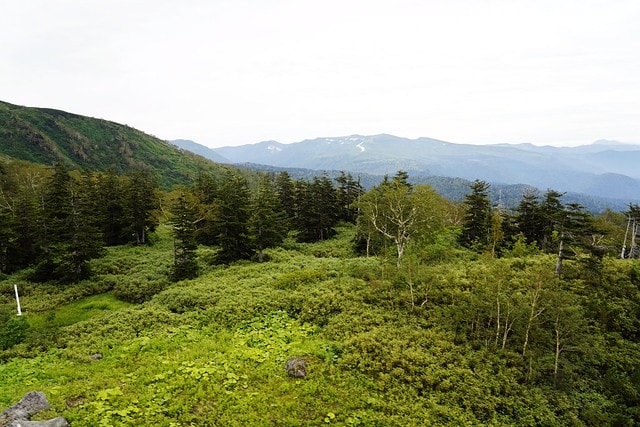 20251102-bfmsw 20251102-bfmsw