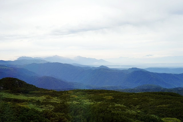 20251102-d0q1a 20251102-d0q1a