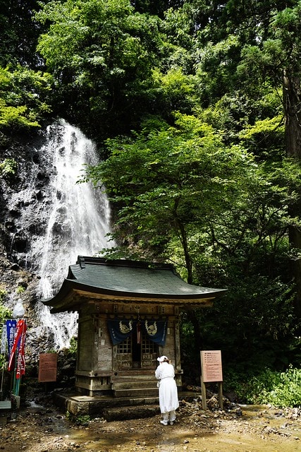 20251102-dyt8g 20251102-dyt8g