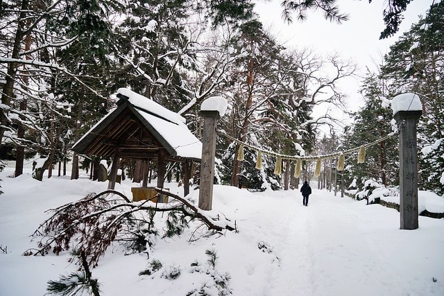 20251102-finl8 20251102-finl8