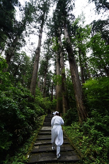 20251102-fzmo9 20251102-fzmo9