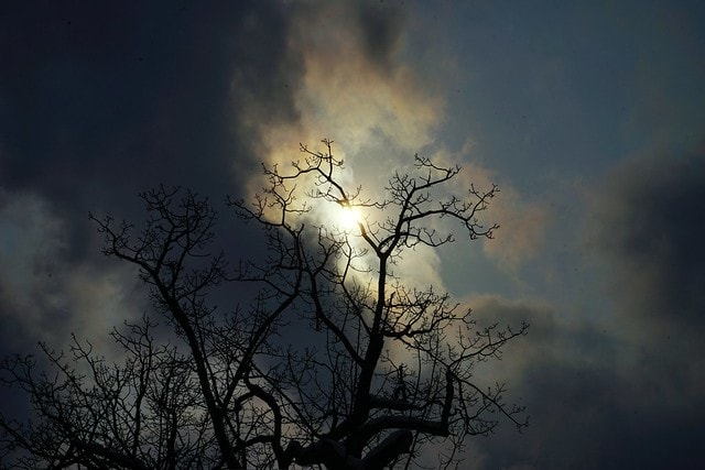 20251102-gfkgv 20251102-gfkgv