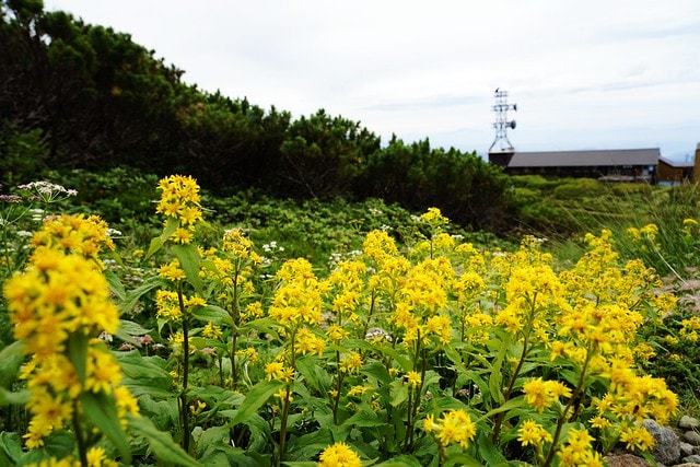 20251102-kwvxo 20251102-kwvxo