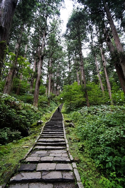 20251102-lc3mq 20251102-lc3mq