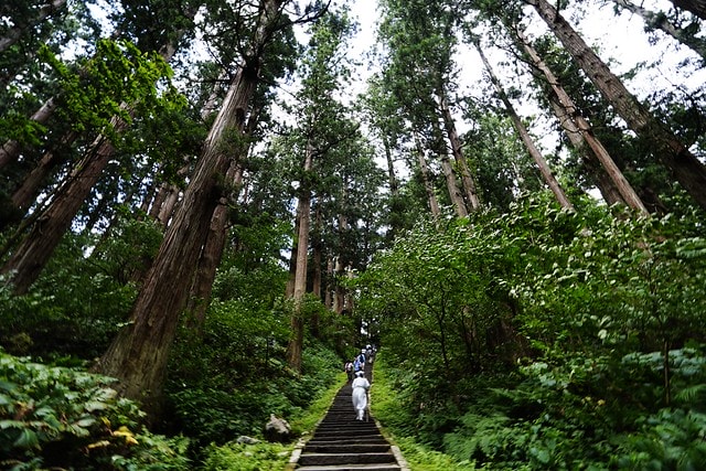 20251102-lens9 20251102-lens9