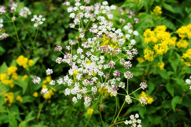 20251102-m4r8m 20251102-m4r8m