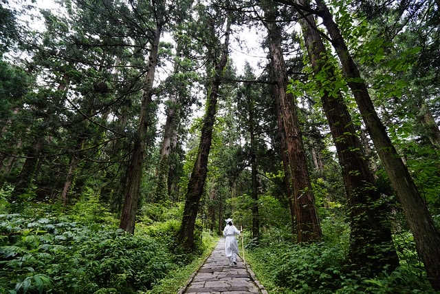 20251102-nxogv 20251102-nxogv