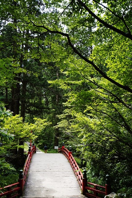 20251102-okzmg 20251102-okzmg