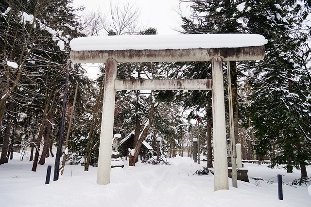 20251102-pkx73 20251102-pkx73