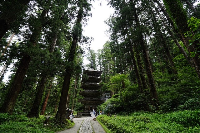 20251102-rrm3s 20251102-rrm3s