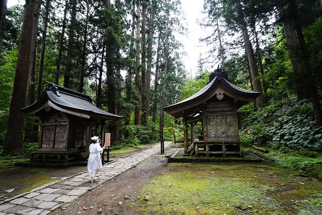 20251102-rt5b1 20251102-rt5b1