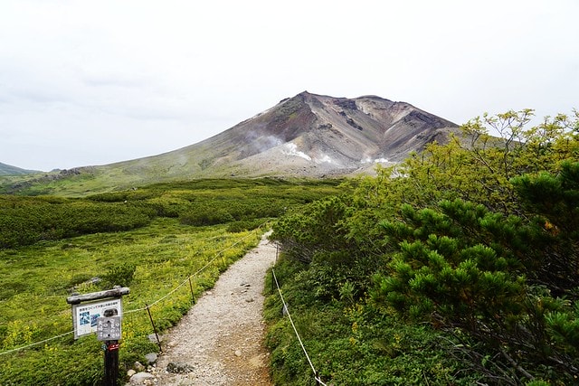 20251102-swbot 20251102-swbot