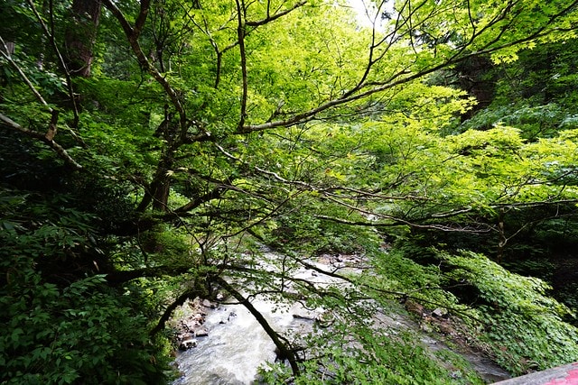 20251102-tyxar 20251102-tyxar