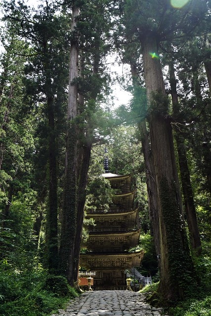 20251102-wsa8w 20251102-wsa8w