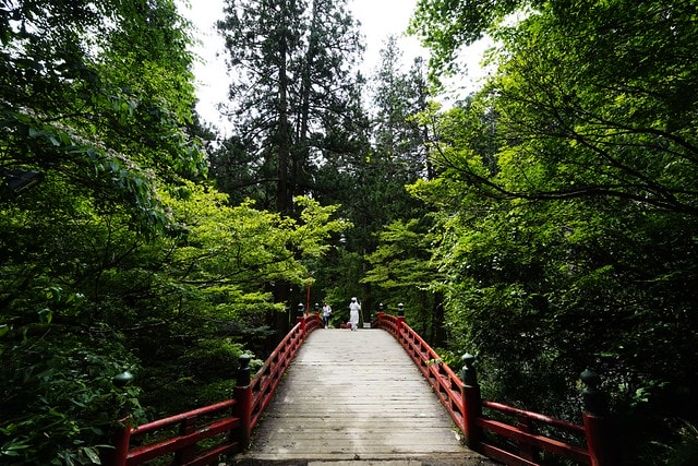 20251102-ylj93 20251102-ylj93