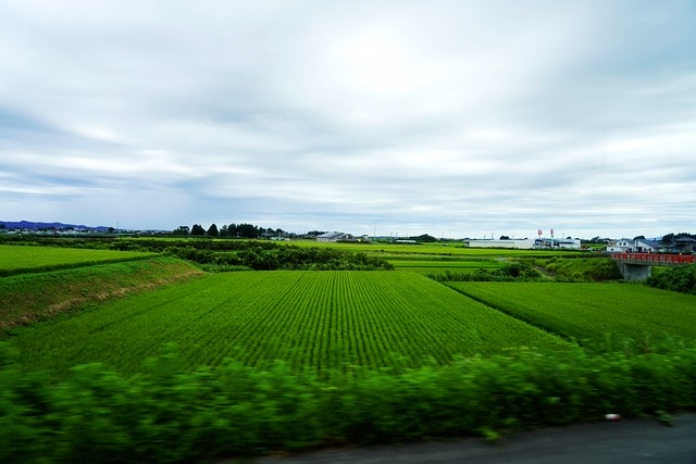 20251102-z2jae 20251102-z2jae