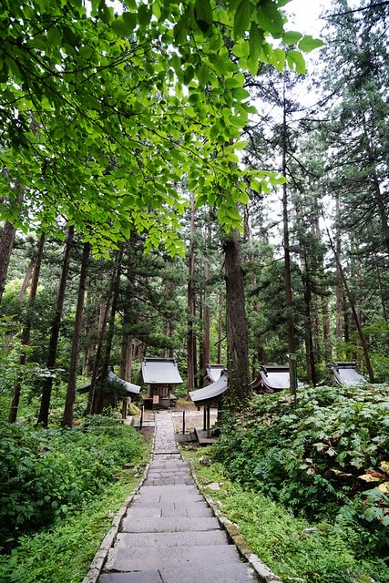 20251102-zcm9z 20251102-zcm9z