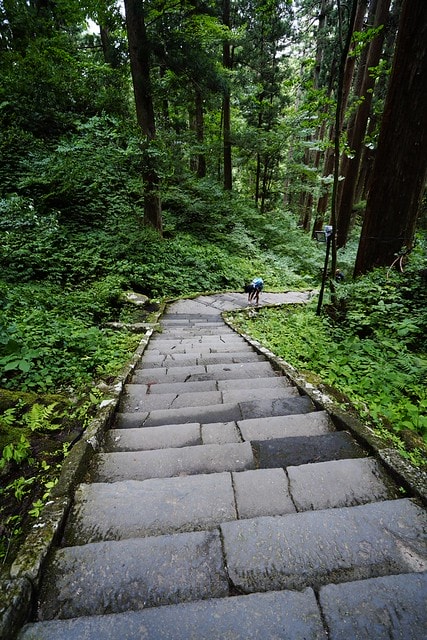 20251102-zs92c 20251102-zs92c