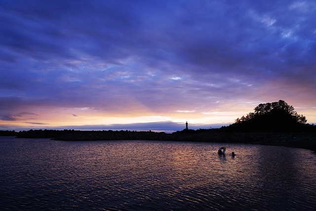 20251102-389co 20251102-389co