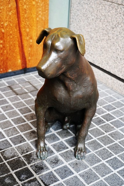 20251102-904vc 20251102-904vc