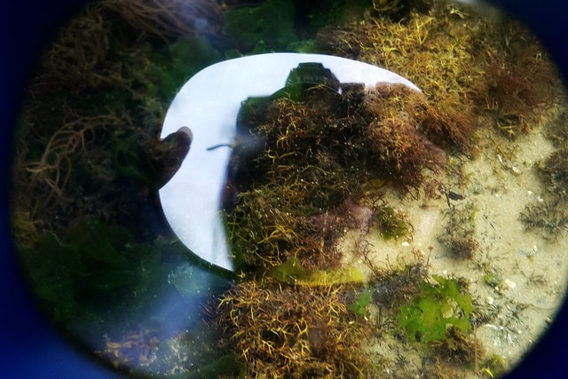 20251102-jjqjg 20251102-jjqjg