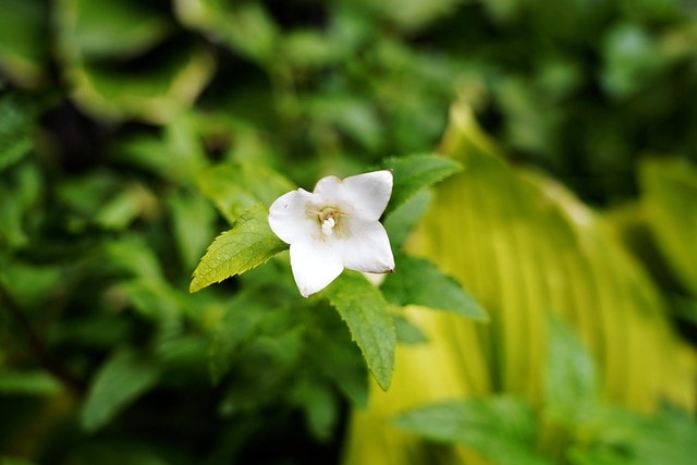 20251102-k61k3 20251102-k61k3