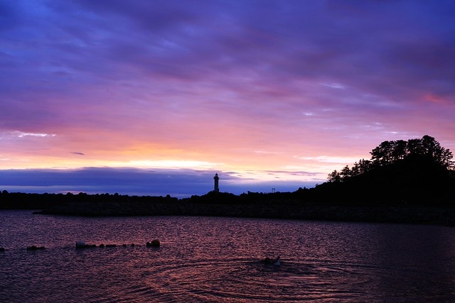 20251102-kp8px 20251102-kp8px