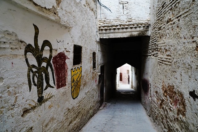 20251102-qkjmh 20251102-qkjmh