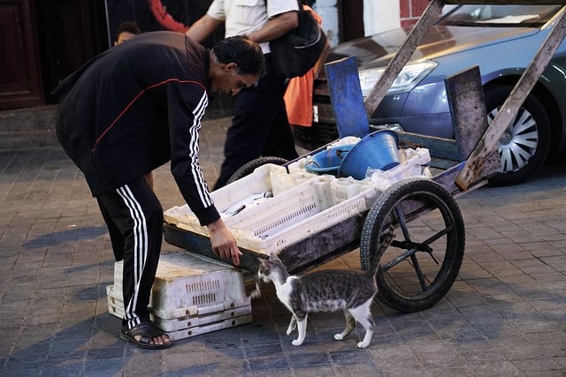 20251102-yvekp 20251102-yvekp