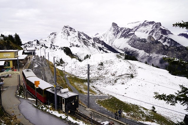 20251102-01oy2 20251102-01oy2