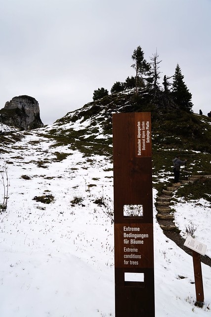 20251102-1idif 20251102-1idif