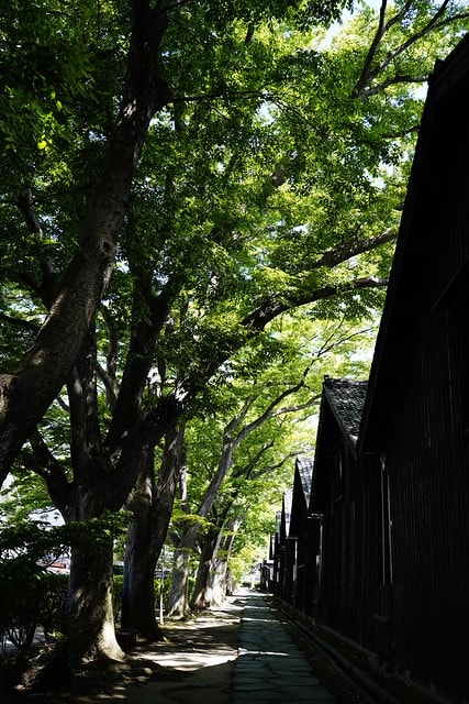 20251102-2rh6j 20251102-2rh6j