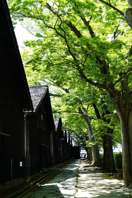 20251102-3fjxe 20251102-3fjxe