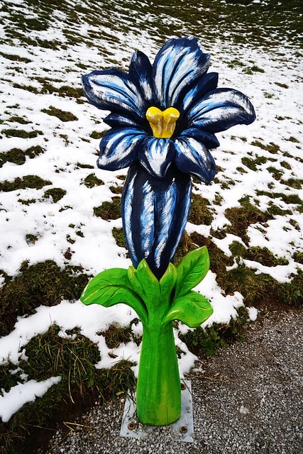 20251102-4vx1v 20251102-4vx1v