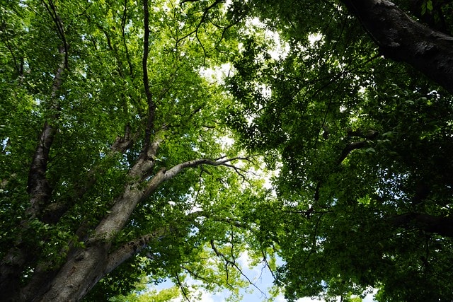 20251102-6f5e6 20251102-6f5e6