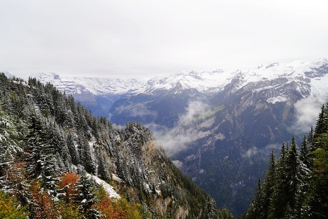 20251102-75kfl 20251102-75kfl