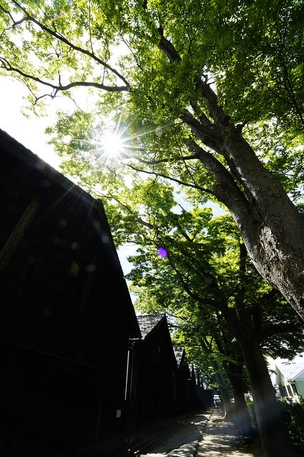 20251102-7e75a 20251102-7e75a