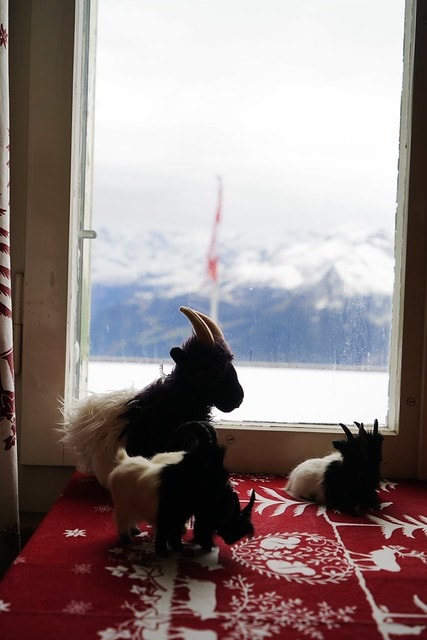 20251102-7fgv2 20251102-7fgv2