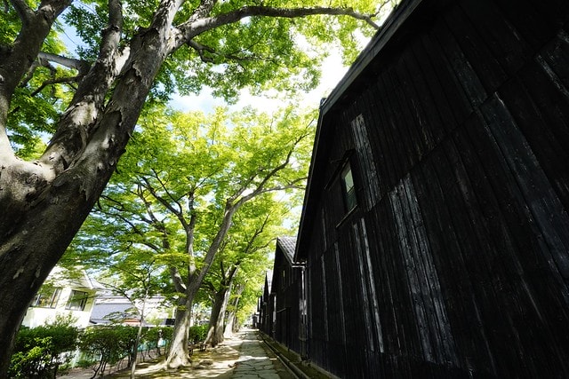 20251102-9an5e 20251102-9an5e