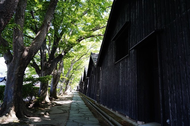 20251102-ajsqd 20251102-ajsqd