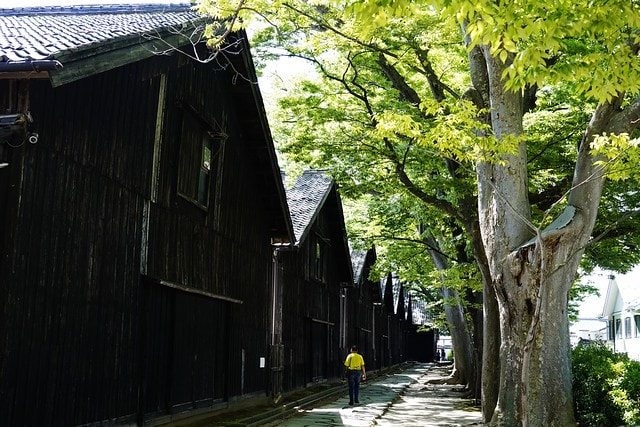 20251102-hcn2f 20251102-hcn2f