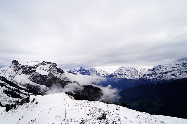 20251102-iluzw 20251102-iluzw