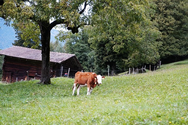 20251102-ioasi 20251102-ioasi