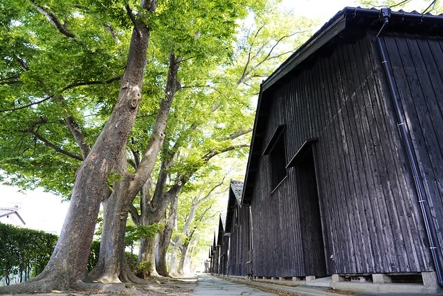 20251102-k4ndp 20251102-k4ndp