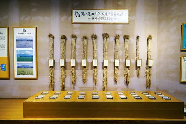 20251102-lz1km 20251102-lz1km