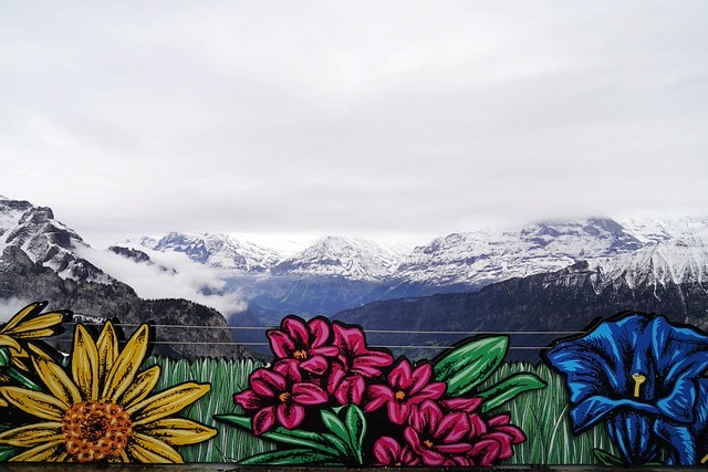 20251102-odgqd 20251102-odgqd