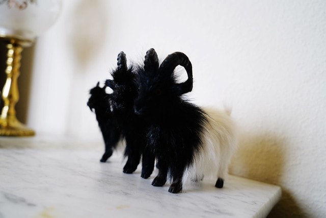 20251102-pi2lf 20251102-pi2lf