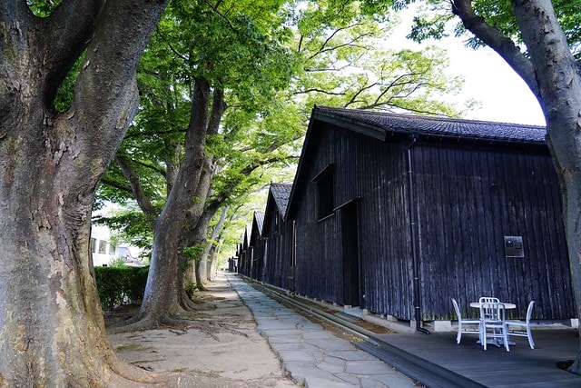 20251102-swj5j 20251102-swj5j